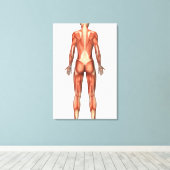 Vrouw spierstelsel- en bindweefselaandoeningen canvas afdruk (Insitu (Houten vloer))