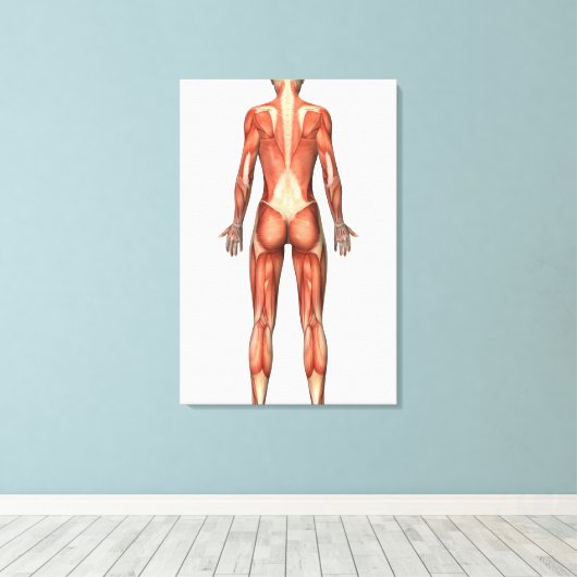 Vrouw spierstelsel- en bindweefselaandoeningen canvas afdruk (Insitu (Houten vloer))
