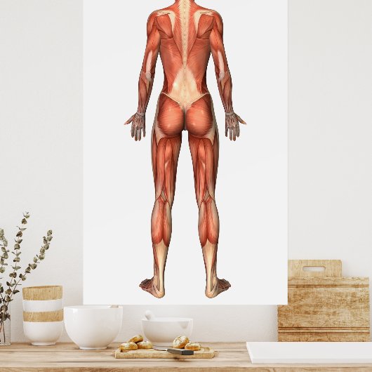 Vrouw spierstelsel- en bindweefselaandoeningen poster (Keuken)