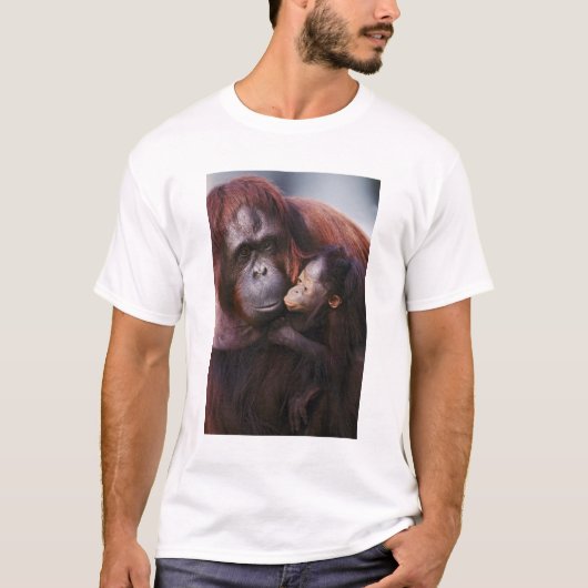 Vrouw Sumatran Orangutan met baby, Pongo T-shirt (Voorkant)