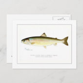 Vrouw Sunapee Trout Briefkaart (Voorkant / Achterkant)