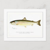 Vrouw Sunapee Trout Briefkaart (Voorkant)