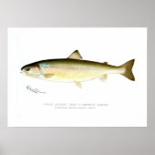 Vrouw Sunapee Trout Poster (Voorkant)