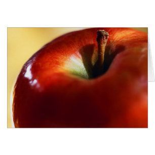 VROUW SUPREMACY BEGONNEN MET EVE