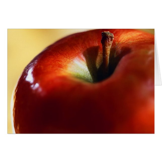 VROUW SUPREMACY BEGONNEN MET EVE (Voorkant Horizontaal)