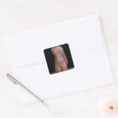 Vrouw torso, waarschijnlijk koningin Nefertiti Vierkante Sticker (Envelop)