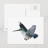 Vrouw van bijenvogel briefkaart (Voorkant / Achterkant)