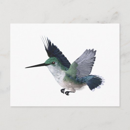 Vrouw van bijenvogel briefkaart (Voorkant)