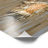 Vrouw van de Noordelijke Schokdemper op de baai Foto Afdruk (Hoek)