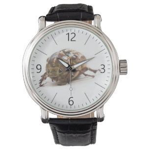 Vrouw van de Polyphylla fullo kever Horloge