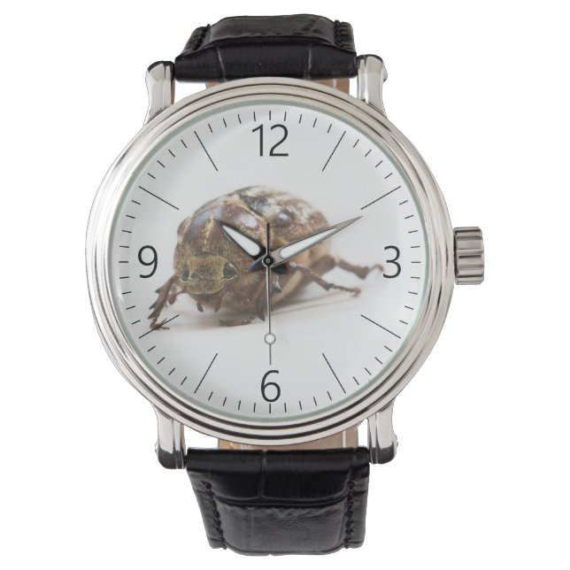 Vrouw van de Polyphylla fullo kever Horloge (Voorkant)