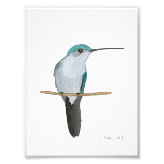 Vrouw van rondvliegende Hummingbird Foto Afdruk (Voorkant)