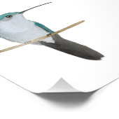 Vrouw van rondvliegende Hummingbird Foto Afdruk (Hoek)