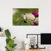 Vrouw van rondvliegende Hummingbird Poster (Thuiskantoor)