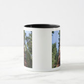 Vrouw videotaping op basis van massieve Sequoia Mok (Midden)