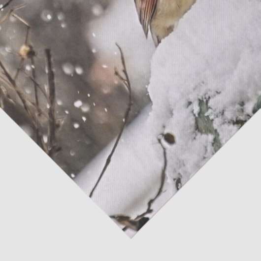 Vrouw vogelvrij kardinaal in sneeuwwinter tissuepapier (Detail)