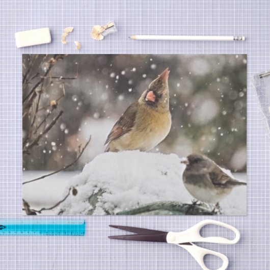 Vrouw vogelvrij kardinaal in sneeuwwinter tissuepapier (Craft)