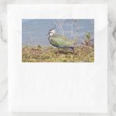 Vrouw voor verlies rechthoekige sticker (Tas)