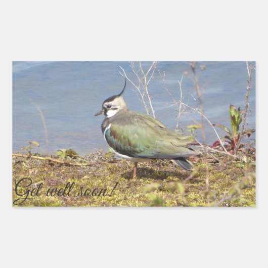 Vrouw voor verlies rechthoekige sticker (Voorkant)