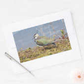 Vrouw voor verlies rechthoekige sticker (Envelop)