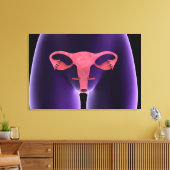 Vrouw Voortplantingsorganen, röntgenfoto-Uitzicht Canvas Afdruk (Insitu (Woonkamer))
