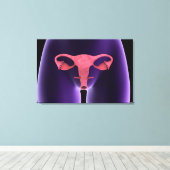 Vrouw Voortplantingsorganen, röntgenfoto-Uitzicht Canvas Afdruk (Insitu (Houten vloer))