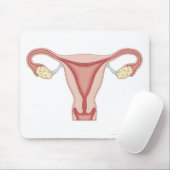 Vrouw Voortplantingsstelsel 2 Muismat (Met muis)