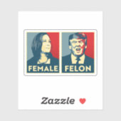 Vrouw vs Felon Sticker (Vel)