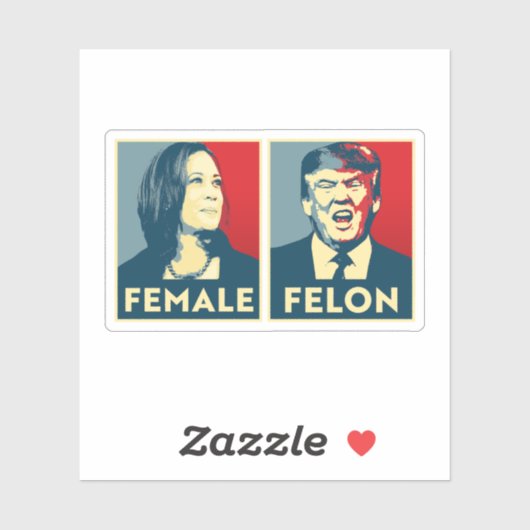 Vrouw vs Felon Sticker (Vel)