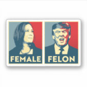 Vrouw vs Felon Sticker (Voorkant)