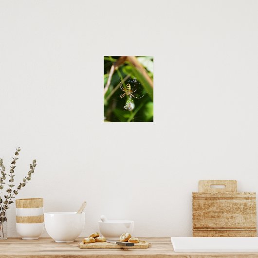 Vrouw Wasp-spin Poster (Keuken)