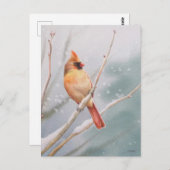 Vrouw Waterverf Noordelijke Kardinaal Briefkaart (Voorkant / Achterkant)
