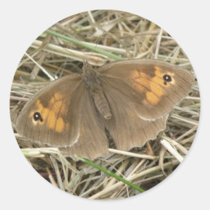 Vrouw weide bruine vlinder ronde sticker