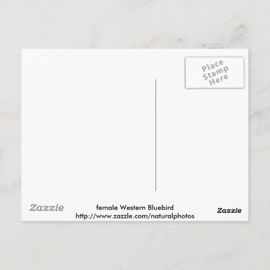 vrouw Westerne blauwvogel Briefkaart (Achterkant)