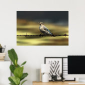 Vrouw Westerne blauwvogel met buik Poster (Thuiskantoor)