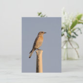 Vrouw Westerne Bluebird Invitation Kaart (Staand voorkant)