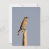Vrouw Westerne Bluebird Invitation Kaart (Voorkant)