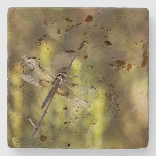 Vrouw Widow Skimmer Dragonfly Stenen Onderzetter (Voorkant)