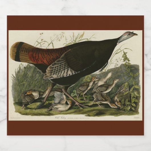 Vrouw Wild Turkey from Audubon's Birds of America Bier Etiket (Enkel label)