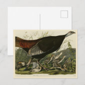 Vrouw Wild Turkey from Audubon's Birds of America Briefkaart (Voorkant / Achterkant)