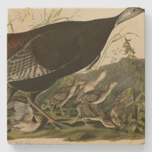 Vrouw Wild Turkey from Audubon's Birds of America Stenen Onderzetter