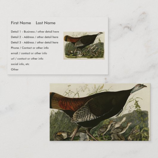 Vrouw Wild Turkey from Audubon's Birds of America Visitekaartje (Voorkant / Achterkant)
