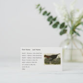 Vrouw Wild Turkey from Audubon's Birds of America Visitekaartje (Staand voorkant)