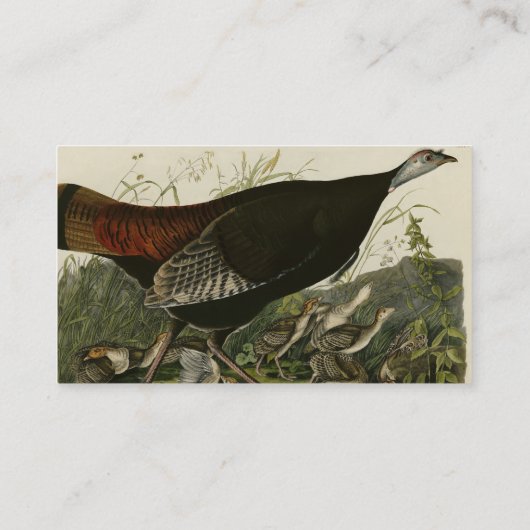 Vrouw Wild Turkey from Audubon's Birds of America Visitekaartje (Achterkant)