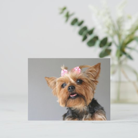 Vrouw Yorkshire Briefkaart (Staand voorkant)