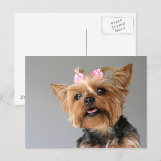 Vrouw Yorkshire Briefkaart (Voorkant / Achterkant)