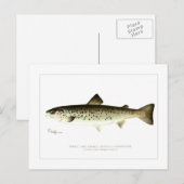 Vrouw Zalm zonder kousen of Quaniche Briefkaart (Voorkant / Achterkant)