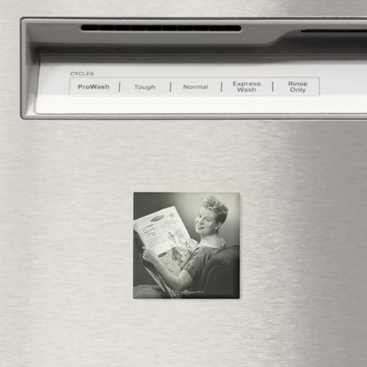 Vrouw zit voorgezeten magneet (Insitu (Vaatwasser))