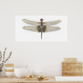 Vrouw zwarte zadelzakken Dragonfly Poster (Keuken)