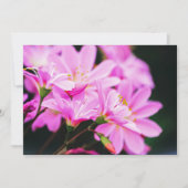 Vrouwelijk Licht Roze Bloemenfotografie Natuur Notitiekaartje (Voorkant)